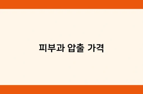 피부과 압출 가격 썸네일