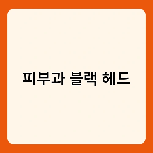 피부과 블랙 헤드