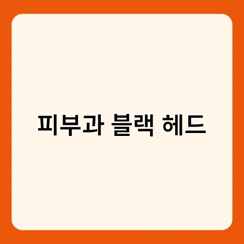 피부과 블랙 헤드 1