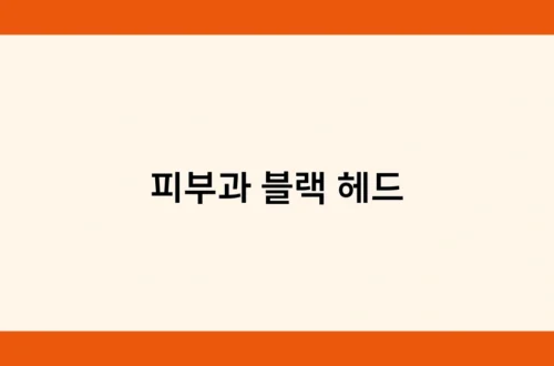 피부과 블랙 헤드 썸네일