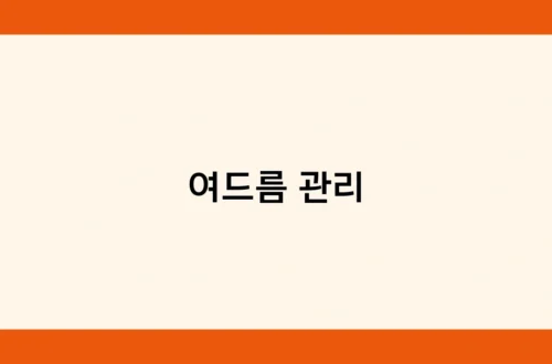 여드름 관리 썸네일